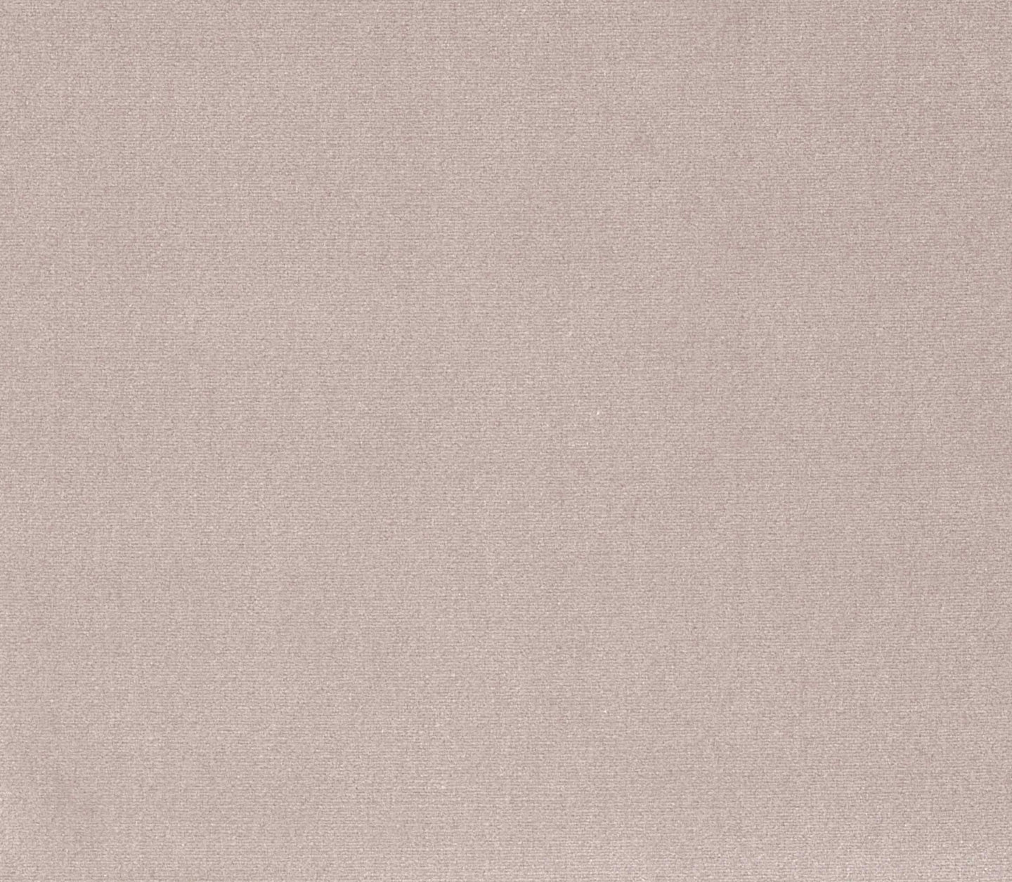 Safari - Pebble