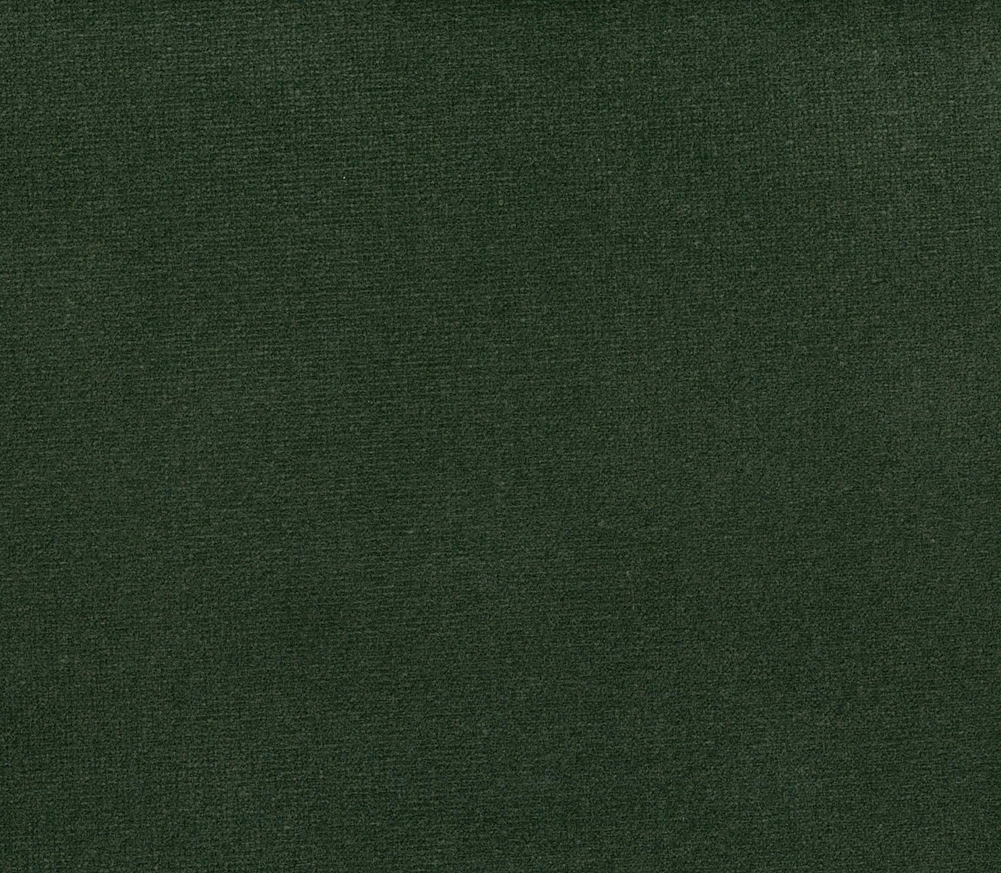 Safari - Spruce