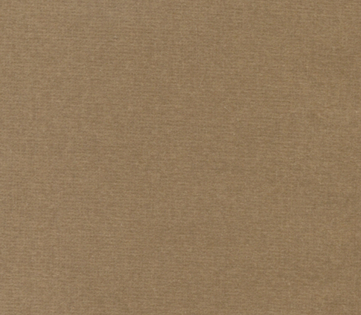 Safari - Taupe