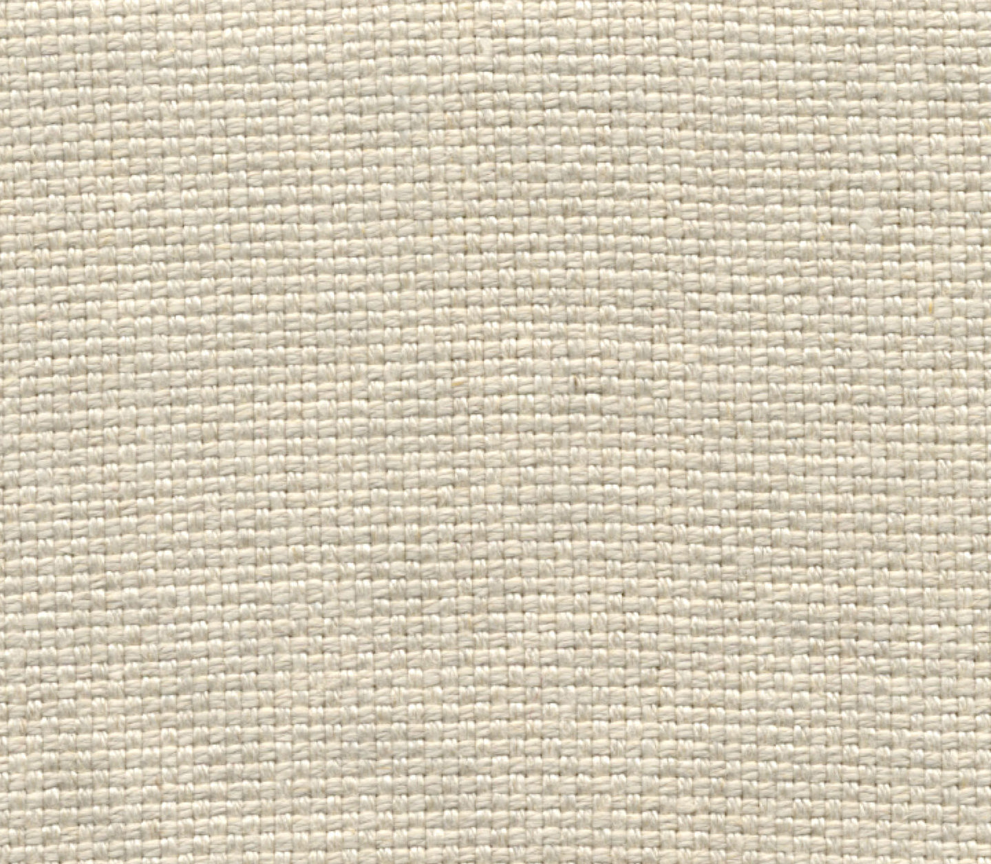 Sassafras - Barley
