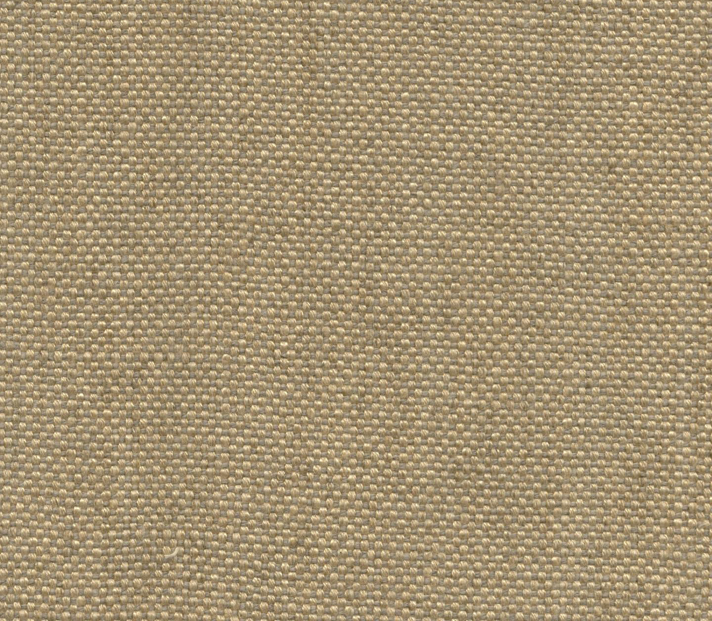 Serafina - Maize