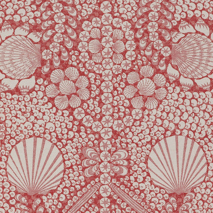 Shell Grotto - SHEL-001