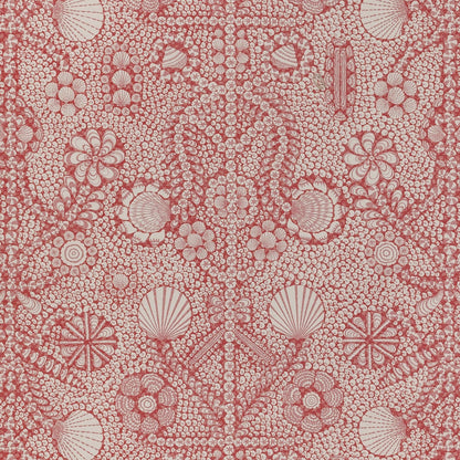 Shell Grotto - SHEL-001