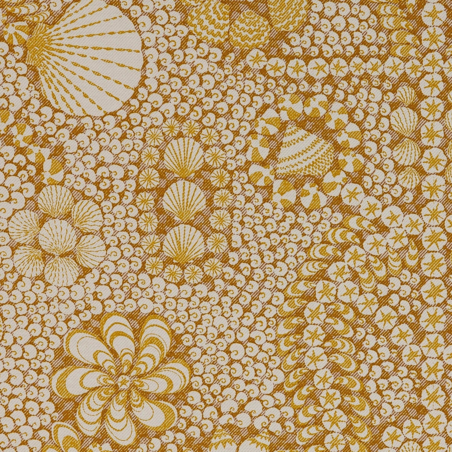 Shell Grotto - SHEL-002