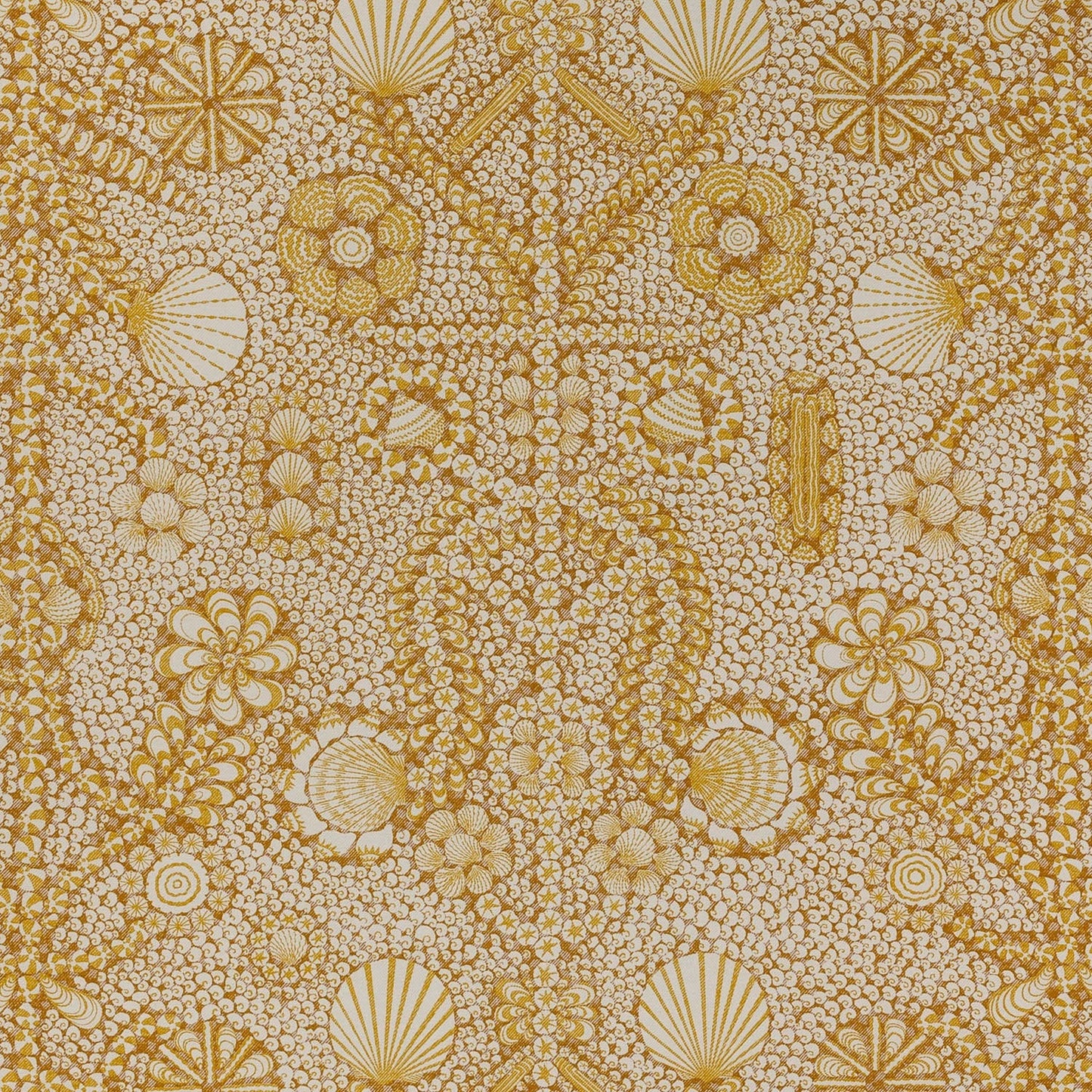 Shell Grotto - SHEL-002