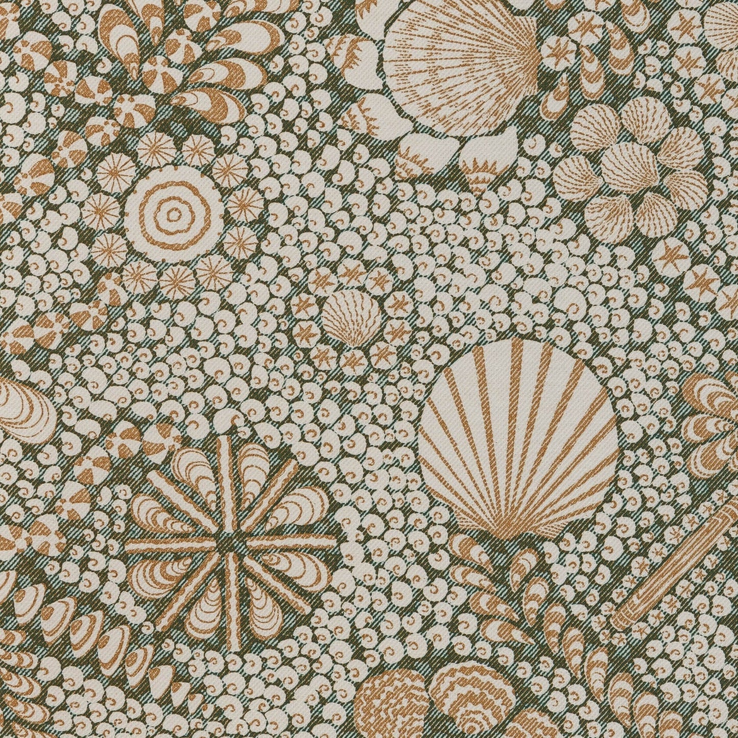 Shell Grotto - SHEL-003