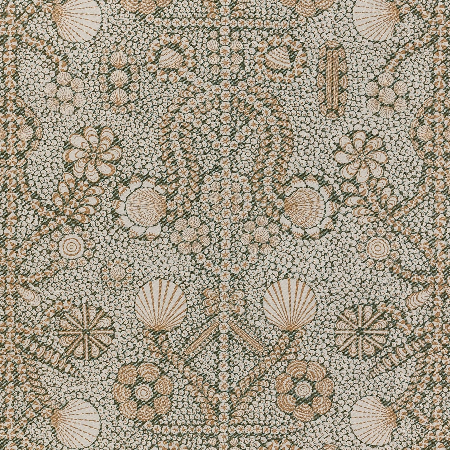 Shell Grotto - SHEL-003