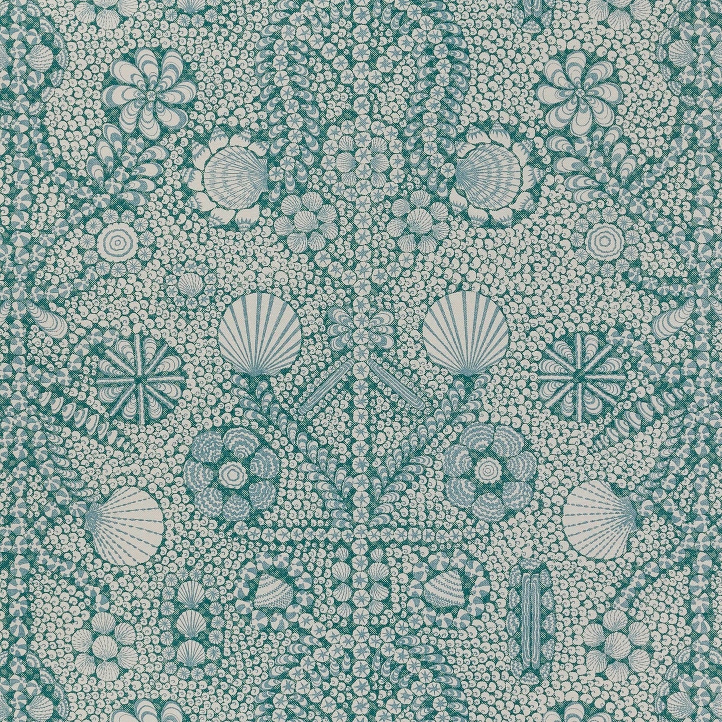 Shell Grotto - SHEL-004