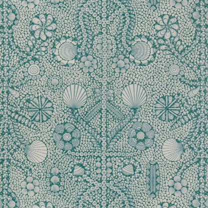 Shell Grotto - SHEL-004