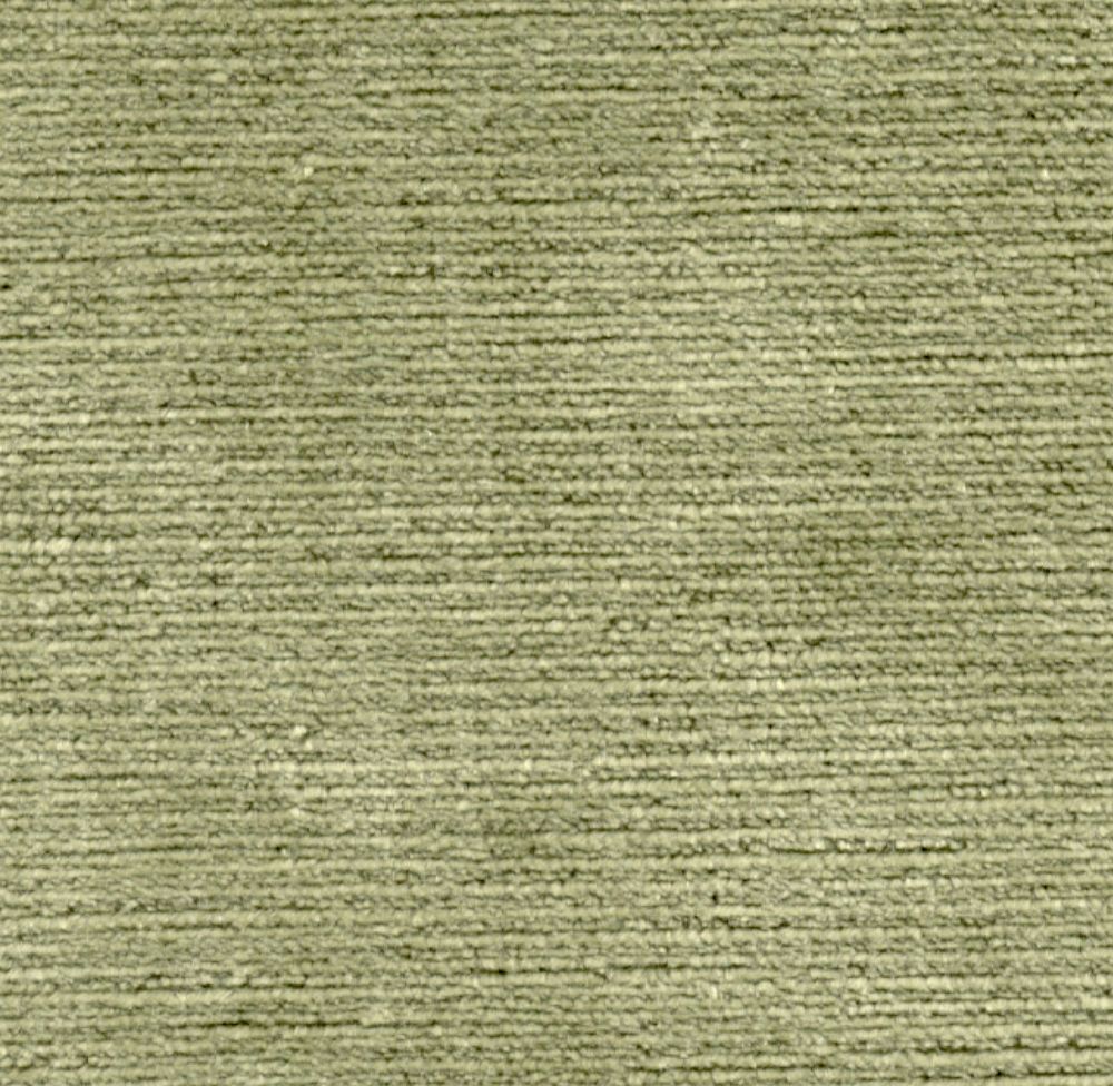 Titian - Sage