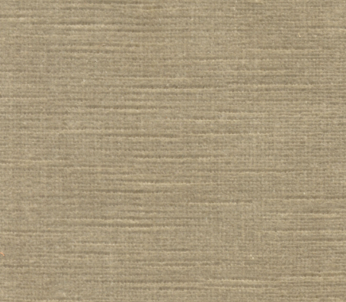 Titian - Taupe