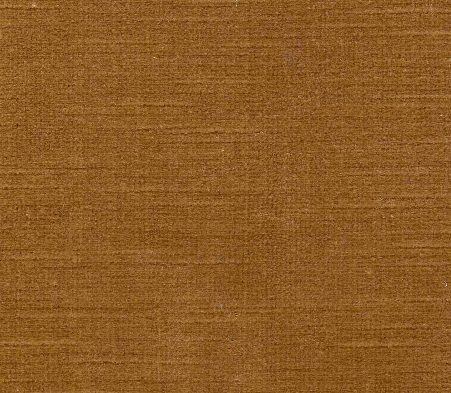 Titian - LIMITED STOCK Honey