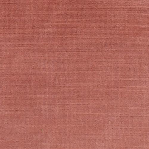 Titian - Antique Rose