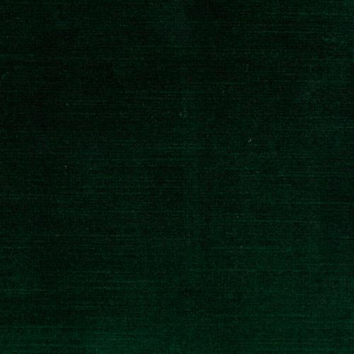 Titian - Pine