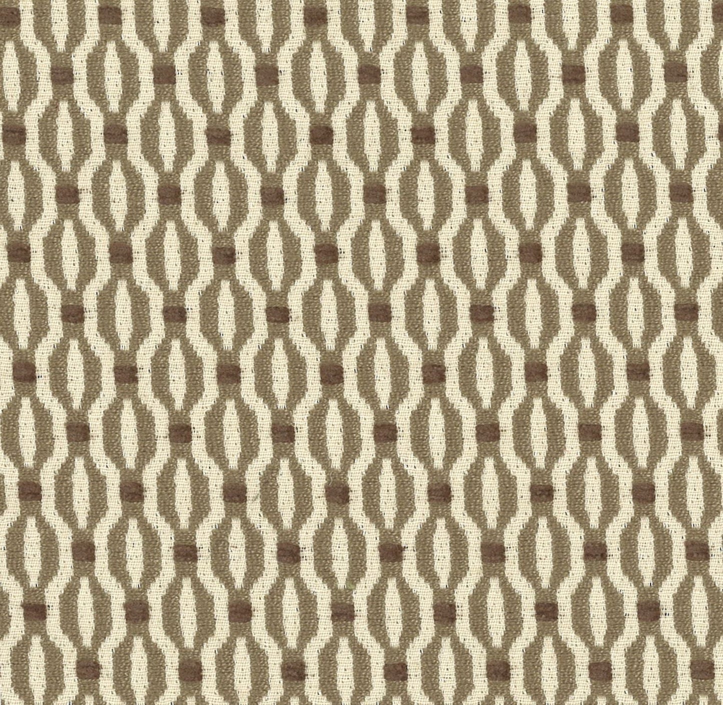 Trellis - Fawn
