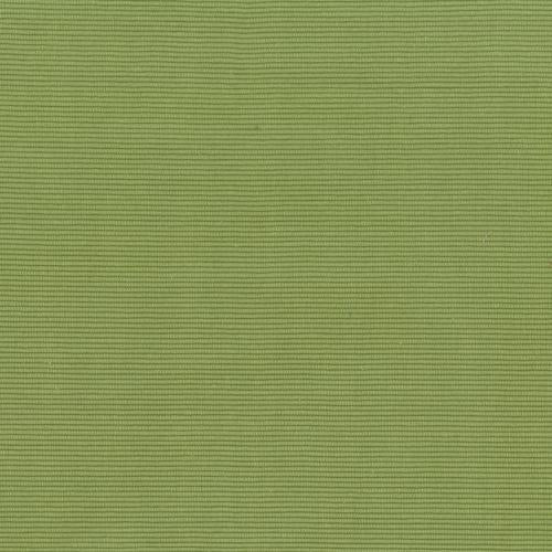 Venus Moire - Verde