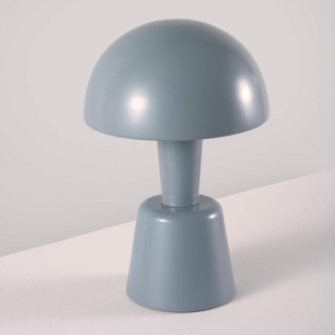 Mini Painted Cep