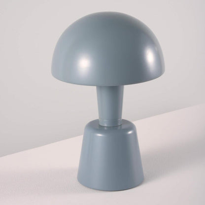 Mini Painted Cep
