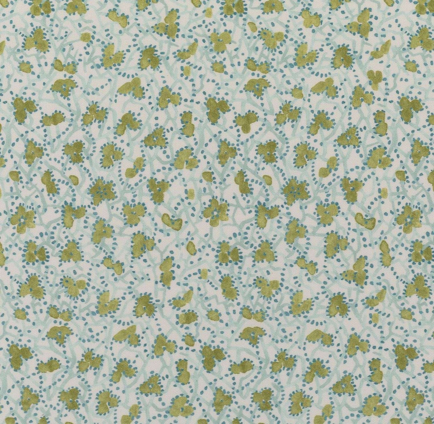 Myosotis - Vert