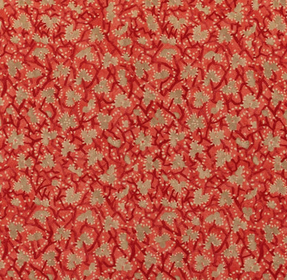 Myosotis - Coral